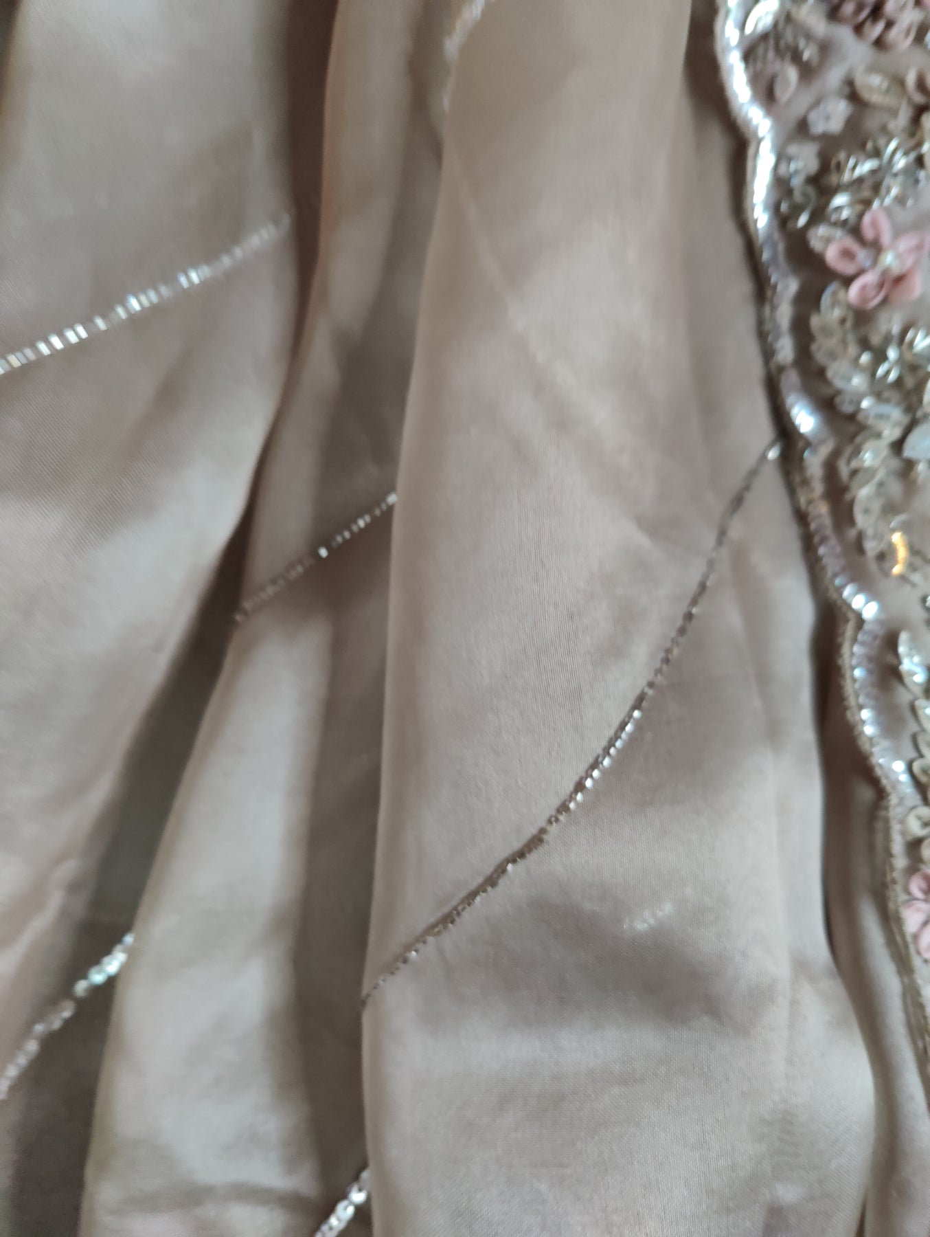 CHIKOO ORGANZA PURE HANDLOOM EMBROIDERY SAREE