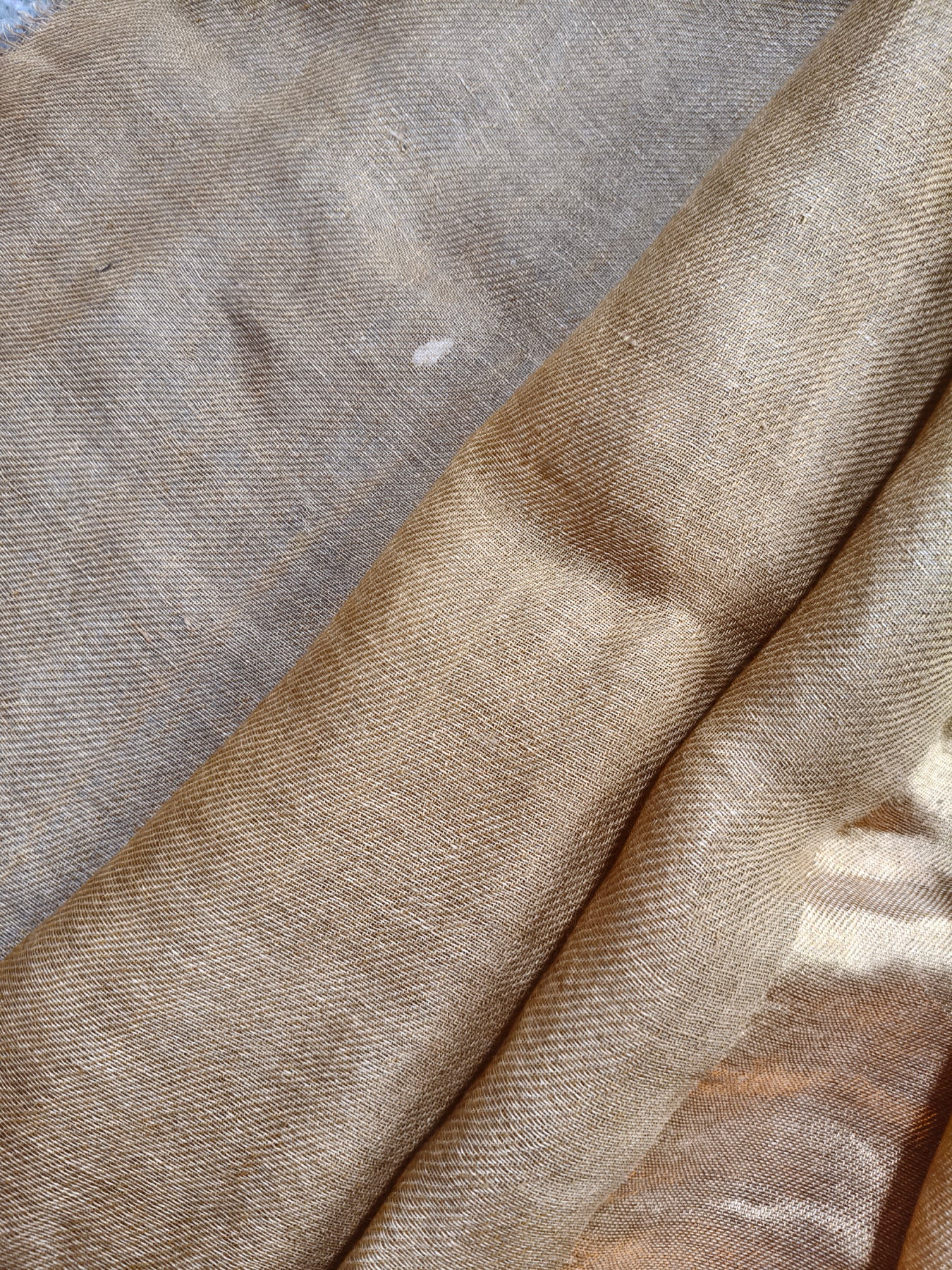 BEIGE TWILL TISSUE PURE HANDLOOM METALLIC SAREE