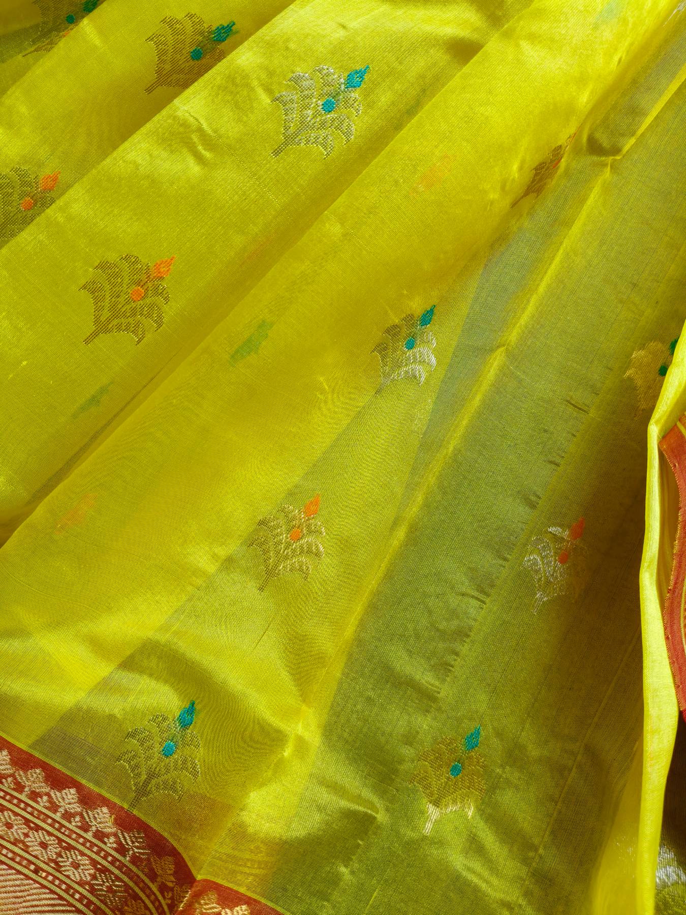 YELLOW PATTU SILK PURE HANDLOOM CHANDERI SAREE