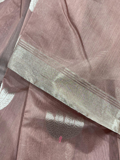 DUSTY ROSE COTTON PURE HANDLOOM CHANDERI SAREE