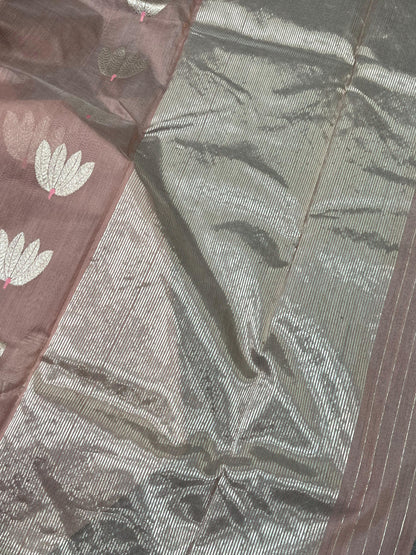 DUSTY ROSE COTTON PURE HANDLOOM CHANDERI SAREE