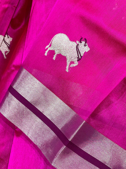PINK SILK PURE HANDLOOM CHANDERI SAREE
