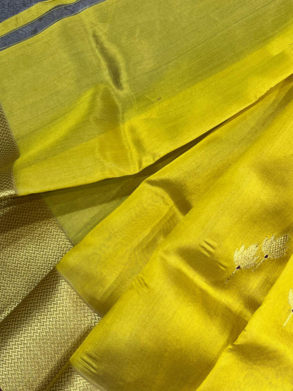 YELLOW SILK PURE HANDLOOM CHANDERI  SAREE