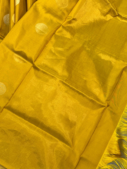 MUSTARD YELLOW SILK PURE HANDLOOM UPPADA JAMDANI SAREE