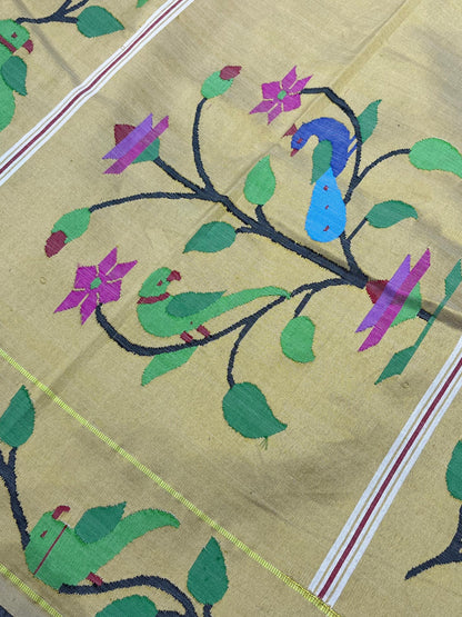IVORY COTTON PURE HANDLOOM PAITHANI SAREE