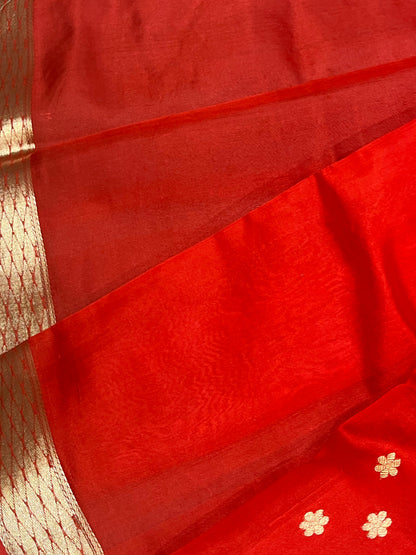 RED MUSHROO SILK PURE HANDLOOM CHANDERI SAREE