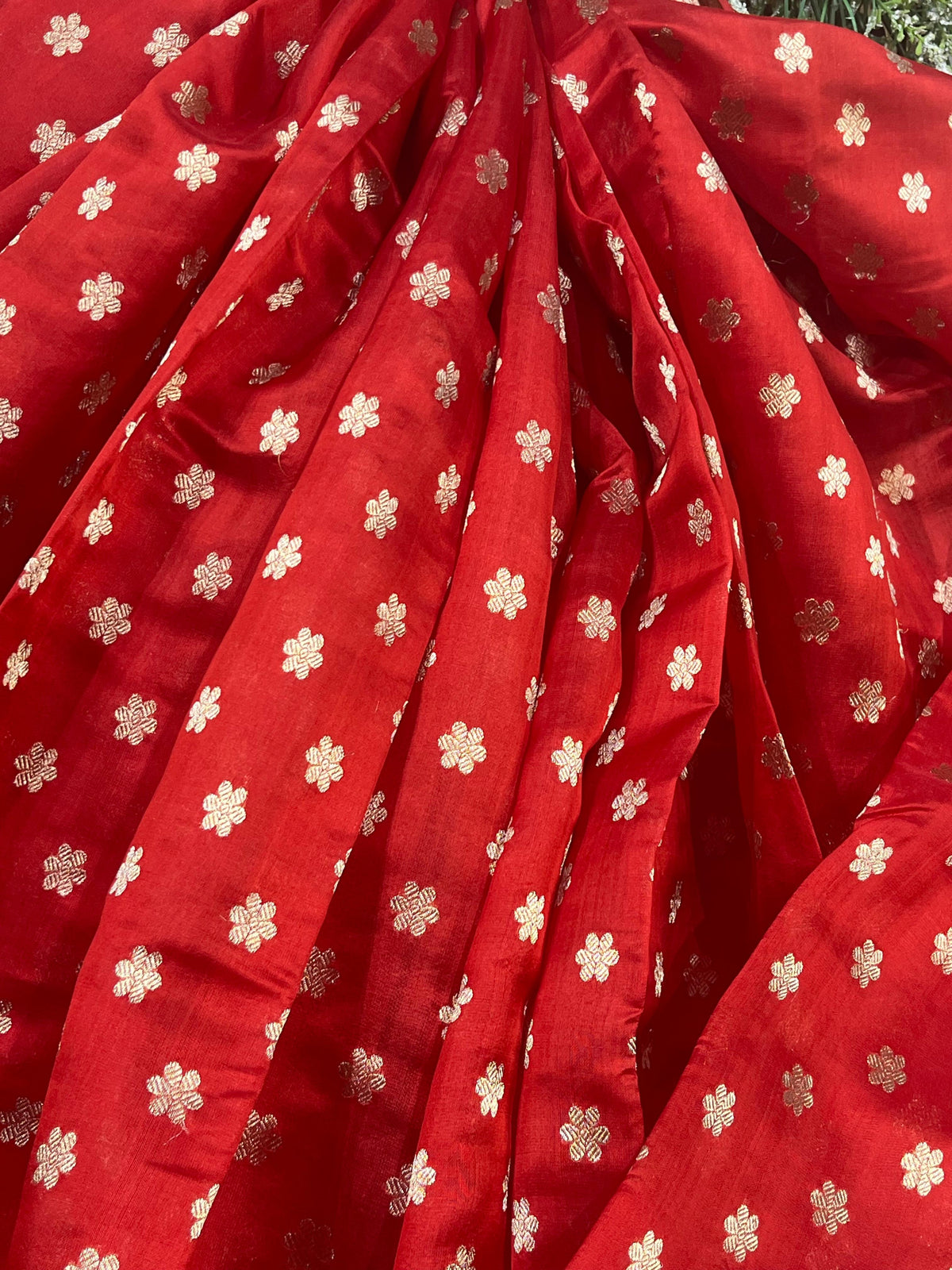 RED MUSHROO SILK PURE HANDLOOM CHANDERI SAREE