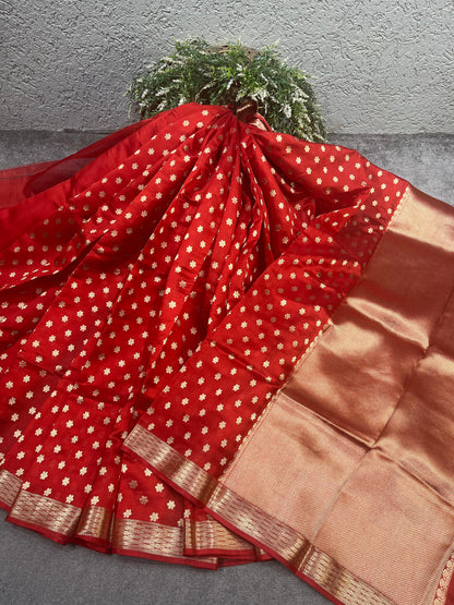 RED MUSHROO SILK PURE HANDLOOM CHANDERI SAREE