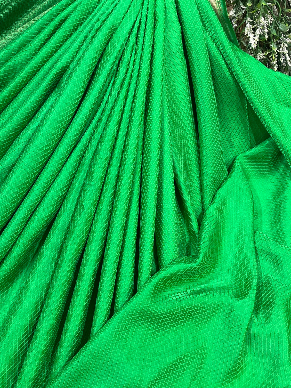 GREEN TANCHOI PURE HANDLOOM BANARASI SAREE
