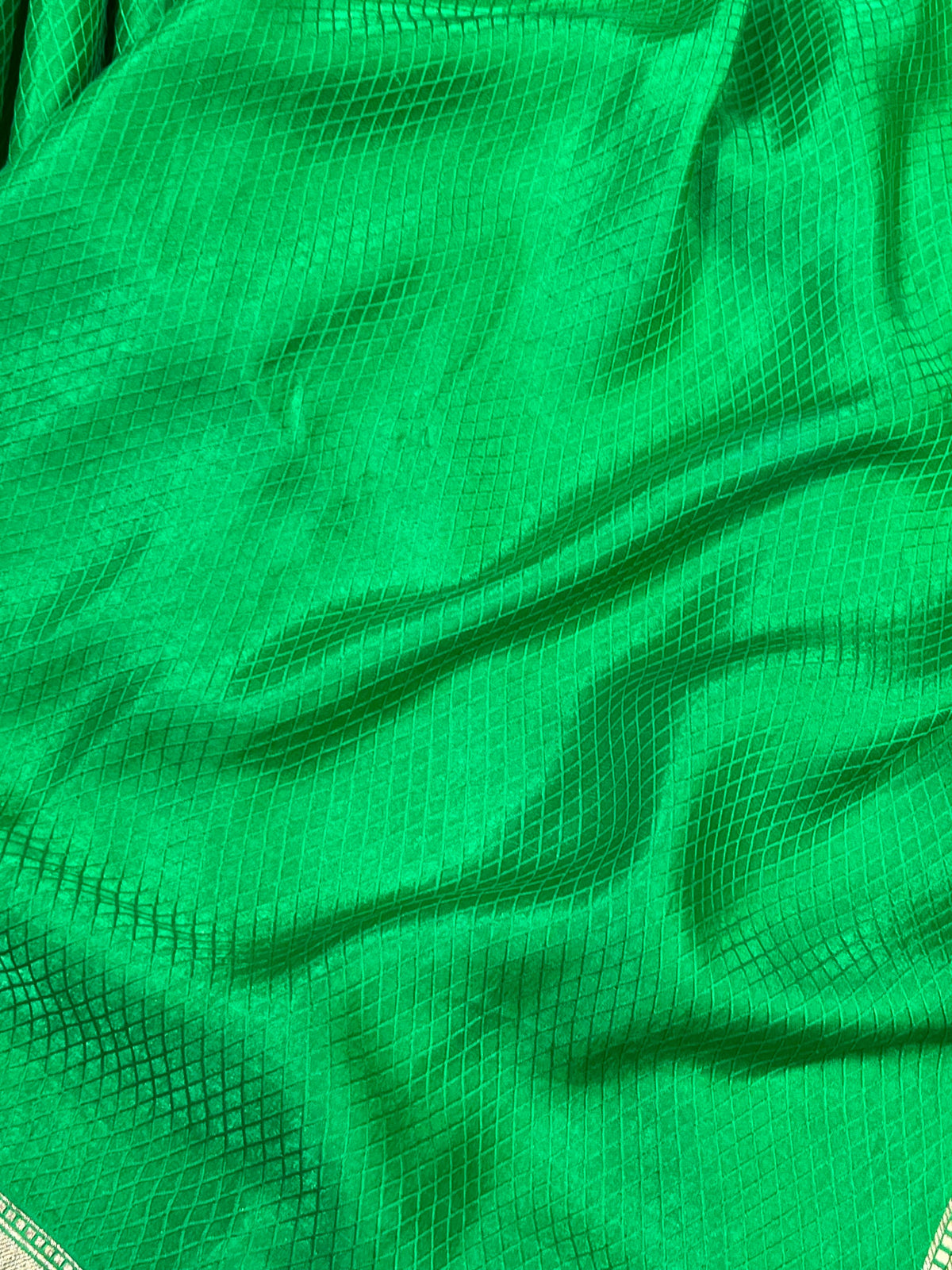 GREEN TANCHOI PURE HANDLOOM BANARASI SAREE