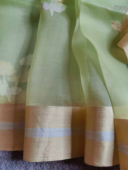 PASTLE GREEN KORA PURE HANDLOOM BANARASI SAREE