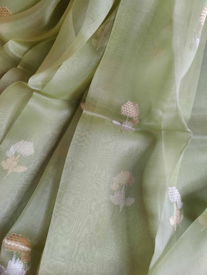 PASTLE GREEN KORA PURE HANDLOOM BANARASI SAREE