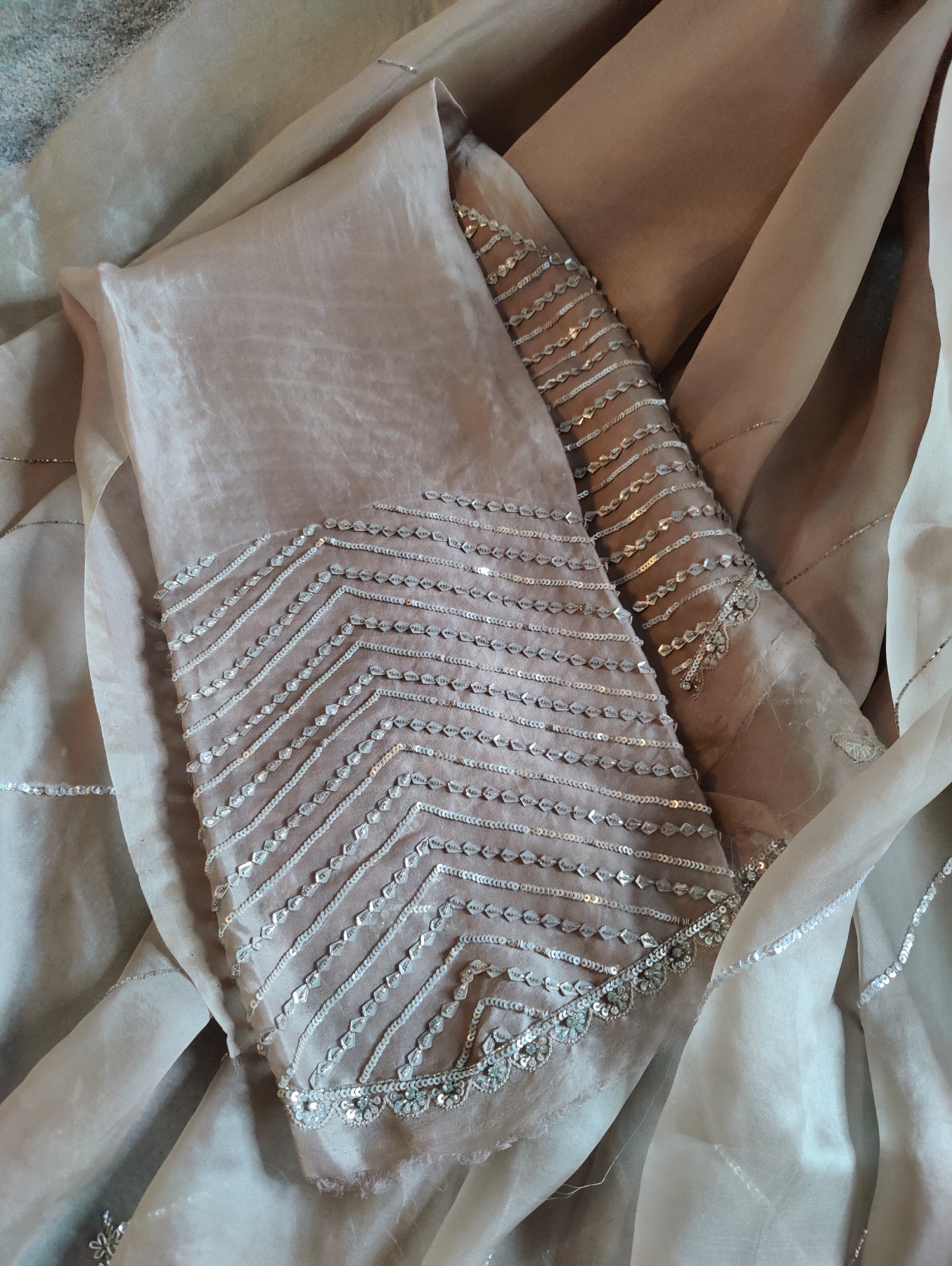 CHIKOO ORGANZA PURE HANDLOOM EMBROIDERY SAREE