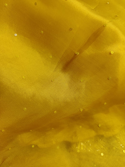 TURMERIC YELLOW ORGANZA PURE HANDLOOM EMBROIDERY SAREE