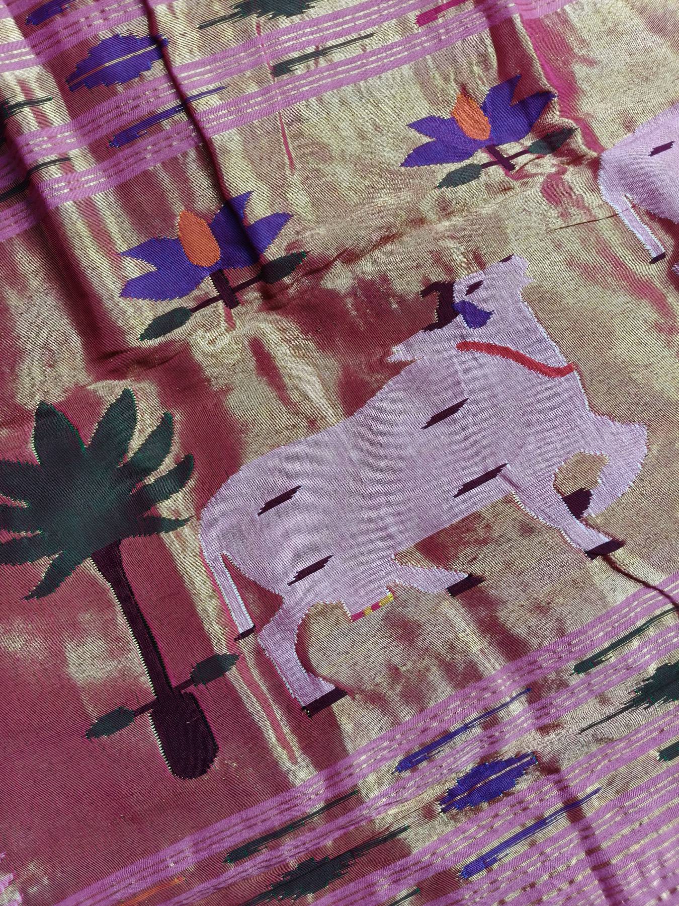 PINK COTTON PURE HANDLOOM PAITHANI SAREE