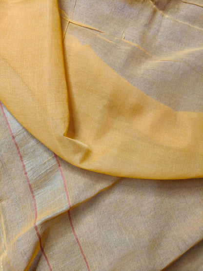 PITAMBARI REAL JARI COTTON PURE HANDLOOM BANARASI SAREE