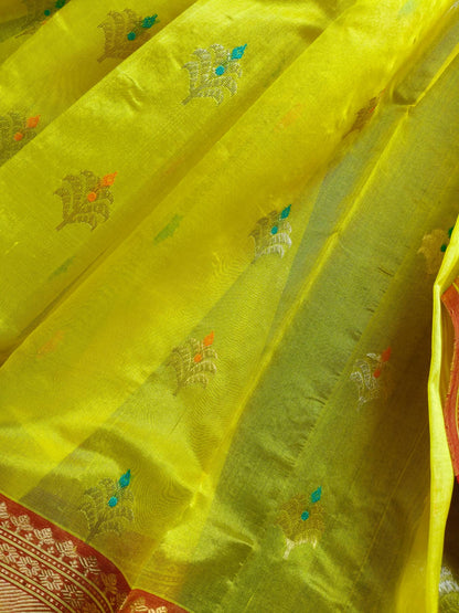 YELLOW PATTU SILK PURE HANDLOOM CHANDERI SAREE