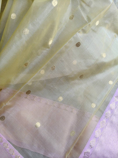 LIME YELLOW KATAN SILK PURE HANDLOOM CHANDERI SAREE